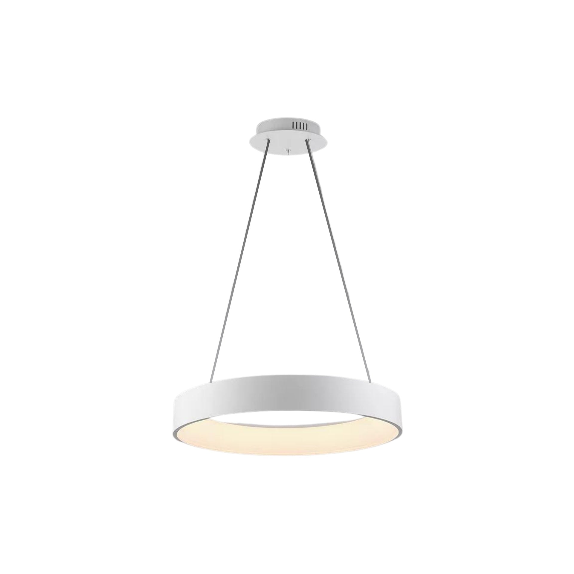 Brushed Silver Pendant Lamp D30.7" H59.06" 60W Triac Dimmable 3000K 120v/60Hz