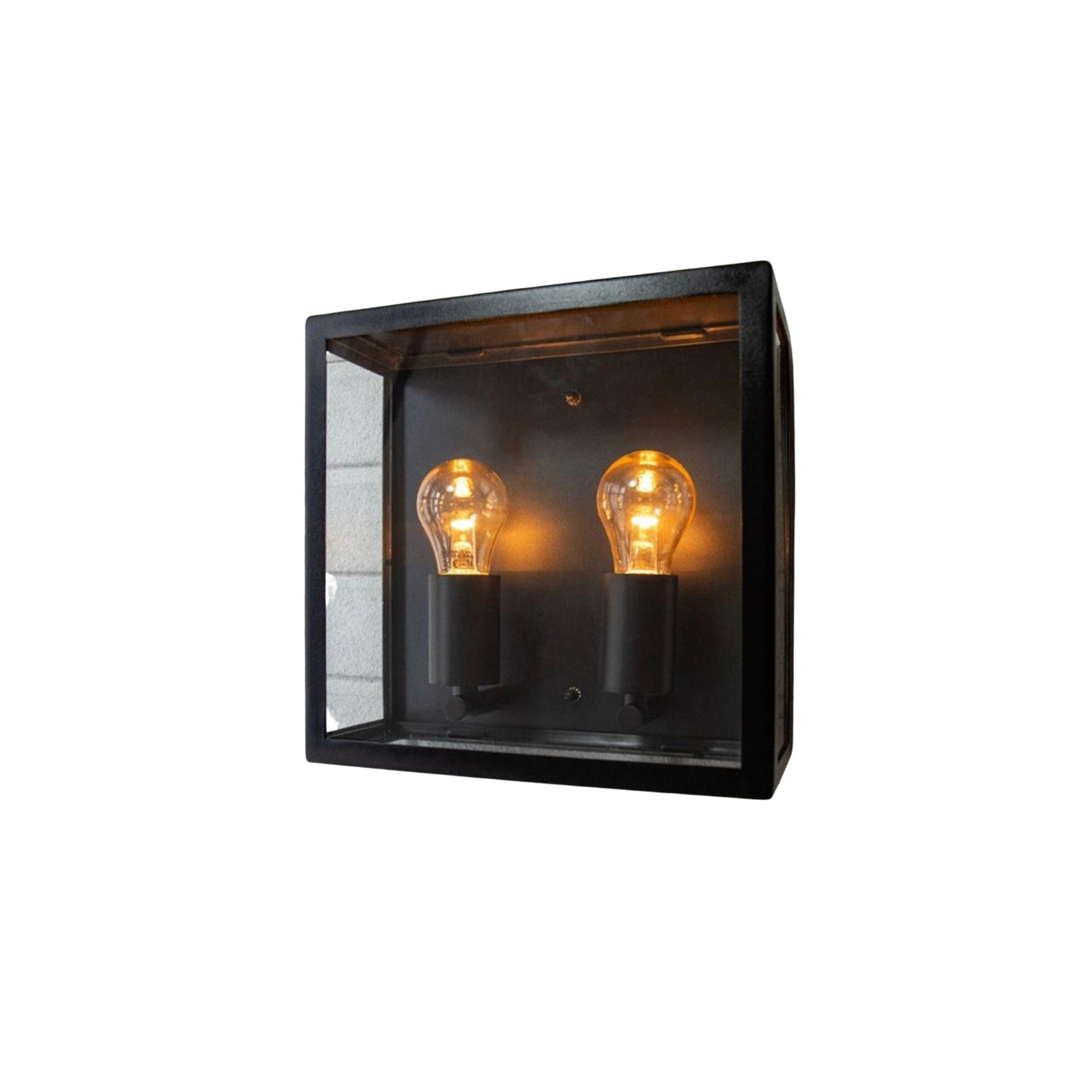 Black Wall Lamp with Clear Acrylic 2L H12in 120v/60Hz